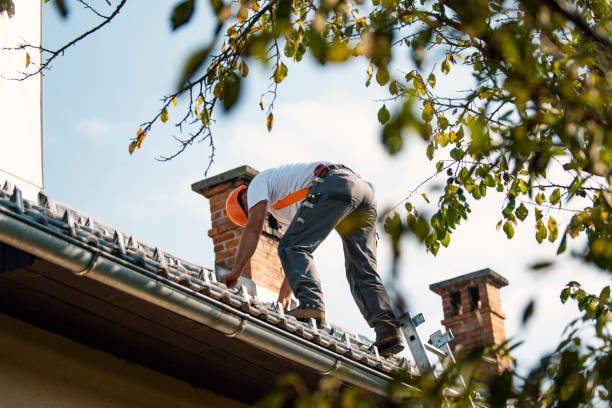 Best Gutter Installation and Roofing  in Buffalo, TX